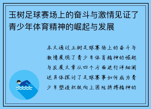 玉树足球赛场上的奋斗与激情见证了青少年体育精神的崛起与发展