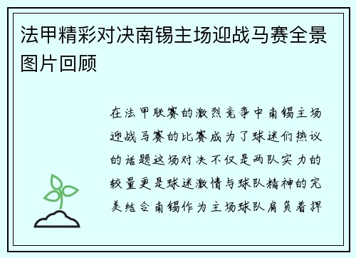 法甲精彩对决南锡主场迎战马赛全景图片回顾